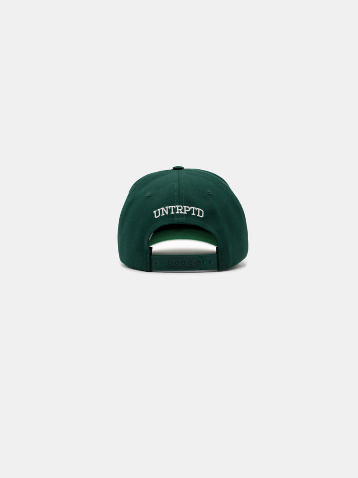Chosen UN Snapback Hat Green/Gold - Back